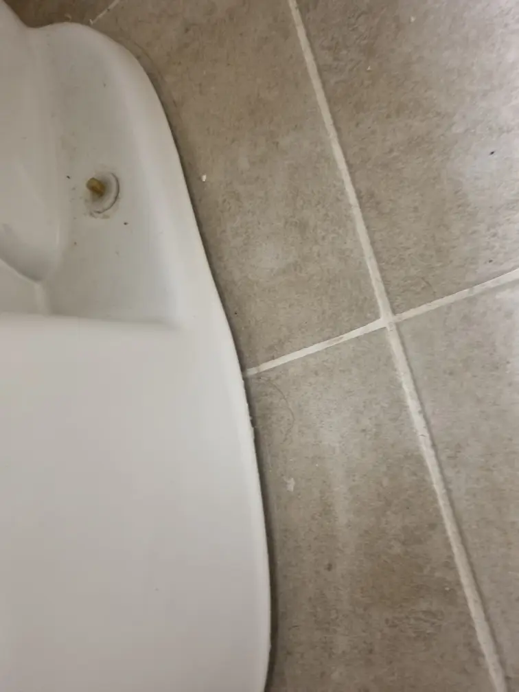 변기 백시멘트 작업 5